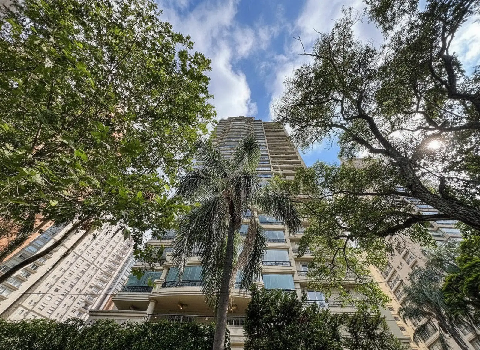 Destaque do Caroline