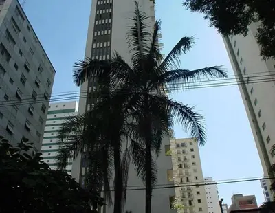 Destaque do Michelle